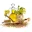 Mustard Oil